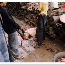 고기의 민족 이미지