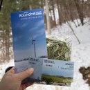 경사목장 | 강원도 대관령 3월 여행 | 눈 내린 삼양라운드힐 양떼목장 설경 후기