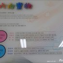 지리산흑돈 이미지