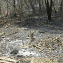 김삿갓면-37 이미지