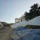 한샘유치원 | [마산카페]세시라기/한샘숲유치원카페/한샘꿈마당(20260724기준)
