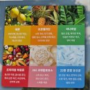 브로멜라인 발란스플로우 레톡스라인 솔직후기