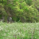 하얀농장 이미지