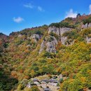 봉화 Daum카페