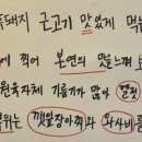 제주탐돈 이미지