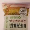주식회사 생명나무