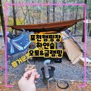 포천캠핑장 하얀숲 오토&amp;글램핑, 울창한 나무숲속 1박2일 내돈내산 솔직후기 (안가면 후회할 곳)