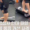 바오핏가락문정 이미지