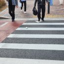 석촌호수 벚꽃 만개 담주 화요일쯤으로 예상