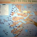 씨펄 네이버블로그