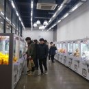 뽑아봅세 이미지