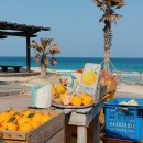 신영농장 이미지