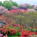 완산-14 이미지