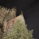 (12/13) 유아_크리스마스 꽃꽂이 | [독일] 뉘른베르크 크리스마스 마켓 기간 / 방문 후기 / 유럽 크리스마스마켓 관광 추천