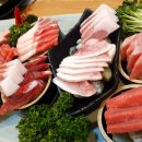 화정동 주노애참치 이미지