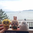 허박 이미지