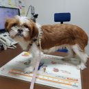 비산4동주민센터 이미지