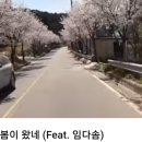 임다솜 이미지
