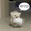 향인 이미지