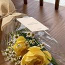 유어스플레르 이미지