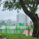 곰돌이PC방 | 24年 7月 : 지나가는 푸른 여름🌿