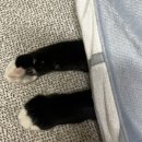 보라매동주민센터 이미지