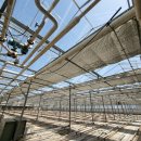 유리농장 이미지