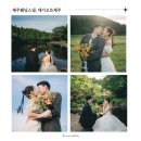 스튜디오데이오프 | 제주웨딩스냅 가격 여름 제주 날씨 케이살롱 데이오프제주 촬영 후기