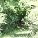 봉개동 명도암참살이마을 이미지