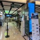 픽 앤 펫 애견 미용실 | 강원도 양양 애견동반 숙소 더앤리조트 펫프리미엄룸 펫운동장 부대시설 룸컨디션