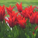 목향초등학교 이미지