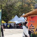 이가을 전통차 | [블챌] 일상 포토덤프 - 단풍든 오대산 월정사 산책 (+ 오대산문화축전, 월정사 승시 행사 + 전나무 숲...