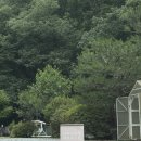 자연속으로 | 내돈내산 가평 계곡 감성숙소 [나무사이에 자연속으로] 후기