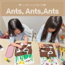 개미유치원 | 엄마표 미술놀이 | 개미 미술놀이🐜 : 개미관찰하기 ,자연관찰 Antvill 앤트빌 후기, ants lifecycle...