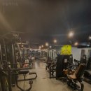 모슬피아짐 이미지