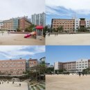 빅마켓프라자