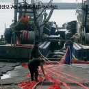 당일바리