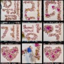 세계방역협회 광주광역시지회