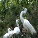 여기산공원 이미지