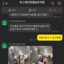 보스 애견호텔&유치원 네이버블로그