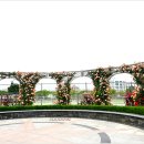 조선대학교 장미원 이미지