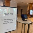 메이필드 | 서울 메이필드 호텔 내돈내산 숙박 숙소 후기 및 수영장 이용 후기