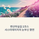 마실길 | 변산마실길 2코스 &#39;노루목 상사화길&#39;, 샤스타데이지 꽃구경 떠나볼까요?