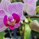 공존의 행복 이미지