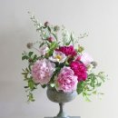 티소믈리에 이미지