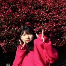 토산보건진료소 이미지