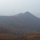 양평초등학교 이미지