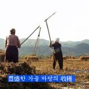 효영농장 이미지