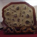 원숭이학교 자연사박물관 이미지