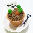 선이네농장 이미지